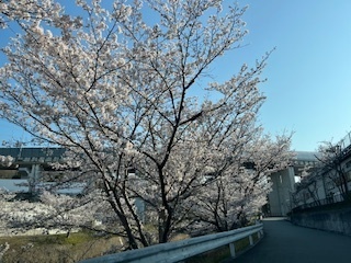 IMG_3612.jpg